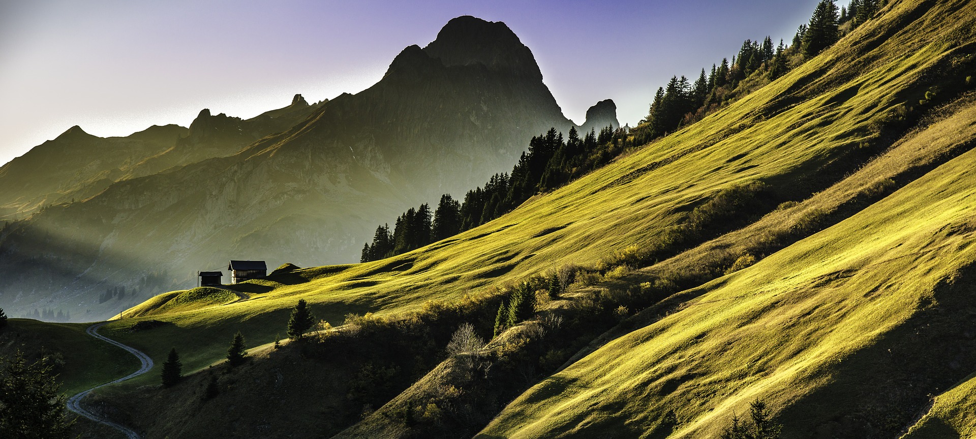 Pleine conscience - Mindfulness